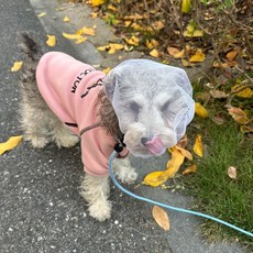 제프노 강아지페이스커버 방지 강아지 페이스커버, 1개입 화이트 35-40cm, 1개