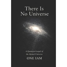 (英文圖書)There Is No Universe: A Quantum Gospel of the Mental Universe 平裝版, Independently Published, 英文