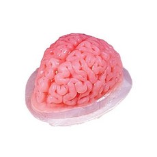 펀 월드 뇌 모양 플라스틱 젤라틴 몰드 Plastic Brain Jello Mold