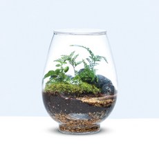 투명 용기안에 작은 지구 만들기 MST-24210