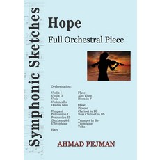 (영문도서) Hope: Full Orchestral Piece Paperback, Kidsocado, English, 9781778920141