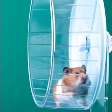 무소음 투명 쳇바퀴 햄스터 아크릴 스탠드형 대형 골든햄스터 소동물 소음방지, 1개, Mindlab 투명받침대