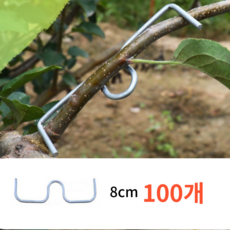 블랙조 과수 사과나무 가지유인 E클립, 8cm, 100개