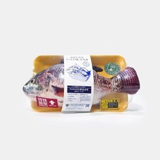 CATWANT 貓咪旺農場 木天蓼貓薄荷填充貓玩具 仿真魚蝦蔬果造型 耐咬舒壓 隨機出貨, 1個, CWF-122-30貓薄荷｜大吳郭魚,花色隨機出貨，恕無法指定