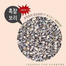 이슬처럼 국내산 검정보리 3kg 흑보리 흑찰보리 (2025년산), 1개