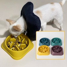 강아지 급체방지 밥그릇 다크컬러