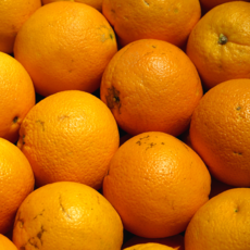 [초특가할인] 오렌지 수입산 쥬스용 못난이 오렌지, 1박스, 오렌지 쥬스용 5kg