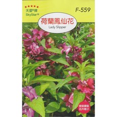 天星牌 荷蘭鳳仙花 Lady Slipper 種子 – 穗耕種苗, 1包
