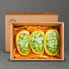 [새김천] 샤인머스캣 선물세트, 1개, 2kg 2~3수(1호)