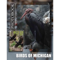 (영문도서) Birds of Michigan Photo Book: Explore The Avian Diversity Of Michigan Through 4... Paperback, Independently Published, English, 9798303111417
