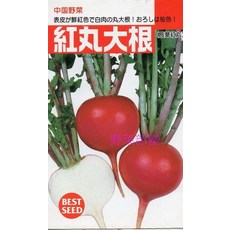 日本紅丸大根種子, 1包