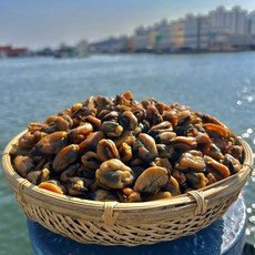 멸치원 남해안 햇 최상급 건홍합 말린홍합 마른홍합, 1개, 500g