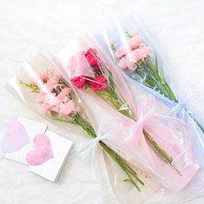 아트박스/에듀팜몰 카네이션 꽃다발 만들기 DIY 키트, 레드 KIT, 1개