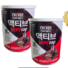 하이뮨 프로틴 밸런스 액티브 WPI100 초코맛, 640g, 2개 640g, 2개