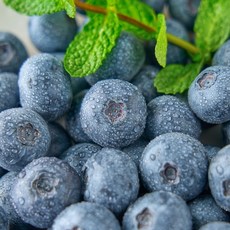 과즙팡팡 슈퍼푸드 급냉 냉동 블루베리, 2개, 1kg