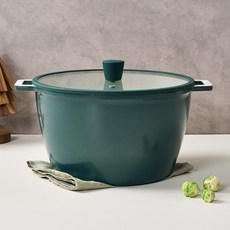 모던하우스 라포레 항균 세라믹코팅 인덕션겸용 곰솥냄비, 28cm, 1개