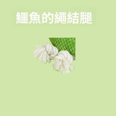 狗狗耐咬磨牙發聲毛絨玩具, 1個, 發繩結,【嗶嗶叫】發聲鱷魚