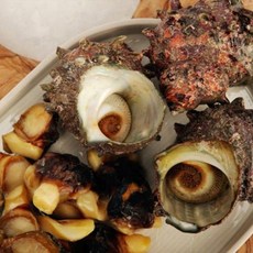 제주 자숙뿔소라살 170g, 1개, 뿔소라살 170g(1팩)