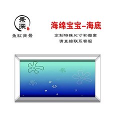 항 백린 수 수족관 배경 0x20m, 1개