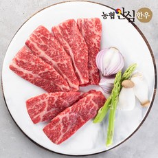 [농협안심한우] 1등급 한우 한근 눈꽃로스 실속구이 600g(냉장), 600g, 단품