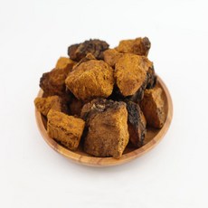동의한약나라 차가버섯, 1개, 500g