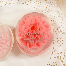 카네이션 비누만들기키트 DIY 체험키트 어버이날 스승의날 선물 비누꽃, 5인용만들기키트