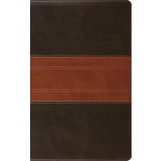 (영문도서)ESV Giant Print Personal Size Bible Red Letter Thumb Indexed (Trutone ... Imitation Leather, Crossway, English, 9798874906467