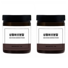 상황버섯분말 100% 100g x 2병 무첨가물상황버섯가루 참나무상황버섯 국산상황버섯가루