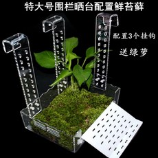 반수생 거북이 육지 계단 모음7 경사 휴식 (옵션이미지참조) 은신처 다리) 커먼머스크, 오버사이즈 펜스 베란다 이끼 설치, 1개