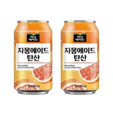 미닛메이드 자몽에이드 탄산 355CAN 24입, 350ml, 24개