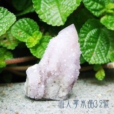 仙人掌水晶 Cactus Quartz 南非產 淨化空間, 1個