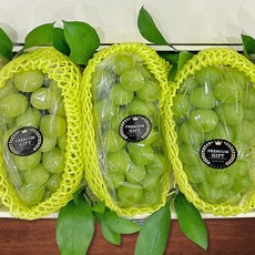 일품 과일 선물세트 A (PL0006317), 1박스