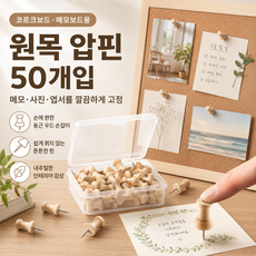 원목 압정 50개 세트 코르크보드 게시판 메모 사진 고정핀, 1박스, 50개입