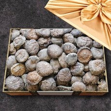 버섯명가 표고버섯 선물세트 동고 1kg(한지함), 버섯명가 표고버섯 선물세트 동고 1kg한지함