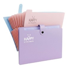 배로나 편리한 똑딱이 파일케이스 수납력 12칸, 2개, 퍼플핑크