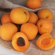 풍부한 영양의 제철 맛있는 영천 살구, 1개, 1kg