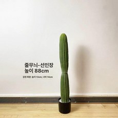 중형 인조 선인장 조화 실내 조경 화분 플랜테리어 인테리어, 1개, K. 줄무늬 선인장 88cm