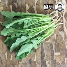 당일작업 국내산 열무, 1개, 500g