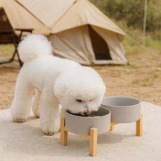 차르미콜 반려동물 식기 도자기 2구 세트, 1세트, 매트 그레이