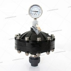 맥동 댐퍼 35 4L DN15 스레드 도징 내부 시스템용 DN50 다이어프램 펌프, DN15 0 35L