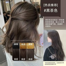 慕斯泡泡染髮劑 植物配方, 黑茶色（泡泡染）,330ML大容量洗髮上色, 1個