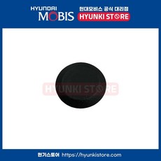 플러그왁스 인젝션 홀 (8414329000)