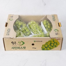 샤인머스켓 4kg 선물용 대과 과일세트, 1박스, 4kg( 국내산 샤인머스켓 )