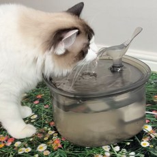 Petka寵物透明大容量狗貓自動飲水器淨水器2.5L, 1盒