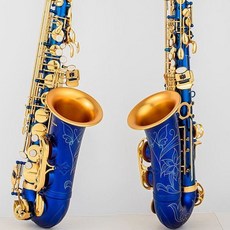 YANAGISAWA柳澤 A-992 中音薩克斯風 降E調 專業管樂演奏, 1個, 中音啞光藍