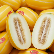 [가정용 추천] 성주참외 꿀참외 고당도, 1박스, 1kg 대과