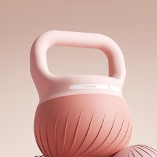 체형 복근 힙업 효과적인운동 홈트용품 트레이닝 덤벨