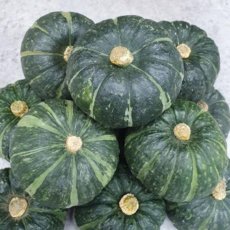 [특품] 국내산 미니밤호박 보우짱 해남 영암 함평 등 전라도산 밤호박 1kg 2kg 3kg, 밤호박1kg, 1개, 밤호박1kg