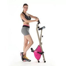 실내자전거 x-bike 접이식 스쿼트머신 홈트레이닝 홈트기계 유산소 헬스기구, A. XBIK