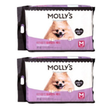 몰리스 쉬야응가 냄새잡는 패드M, 2개